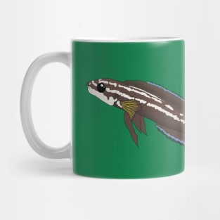 Golden Julie Cichlid Mug